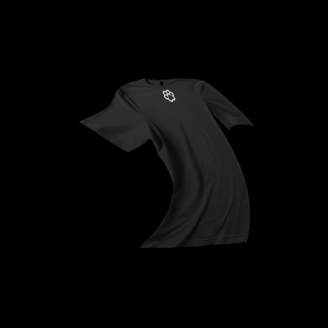merch preview
